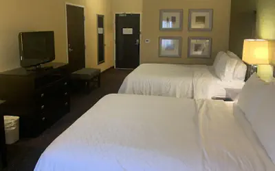 Holiday Inn Express Hotel & Suites Lansing-Dimondale by IHG