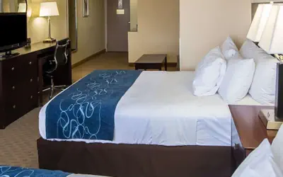 Comfort Suites University Area Notre Dame - South Bend