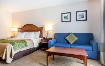 Comfort Inn & Suites South Burlington near University
