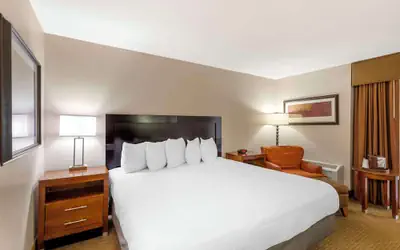 Best Western CottonTree Inn