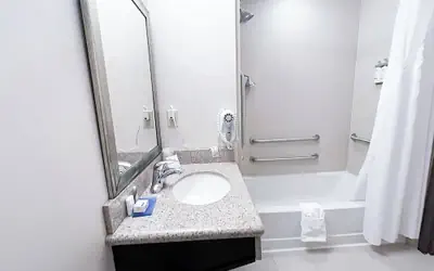 Holiday Inn Express & Suites Morton Peoria Area by IHG