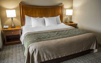 Quality Inn & Suites Bradford