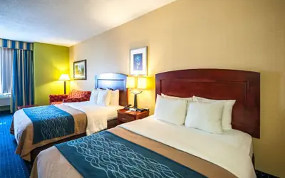 Comfort Inn & Suites North East