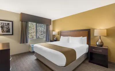 Best Western Plus Plaza by the Green