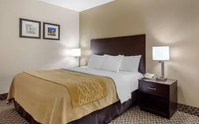 Comfort Inn Horn Lake - Southhaven