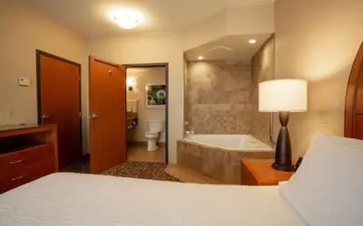 Hilton Garden Inn Cedar Falls