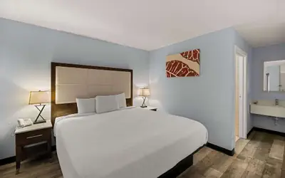 Rodeway Inn Midland South