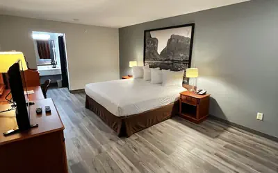 Super 8 by Wyndham Sealy