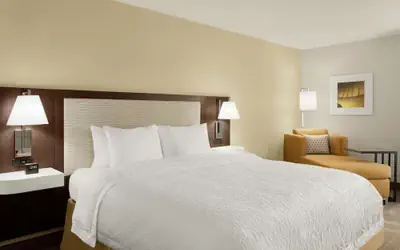 Hampton Inn Houston Hobby Airport