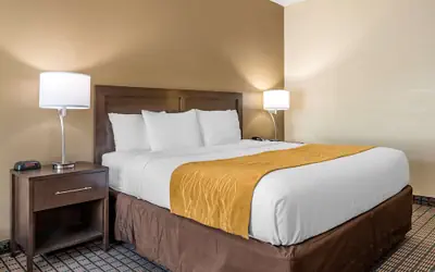 Comfort Inn & Suites Cincinnati Uptown Clifton