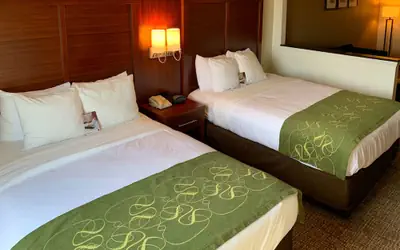 Comfort Suites Texas Ave