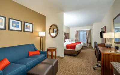 Comfort Suites Old Town Spring