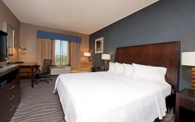 Hilton Garden Inn Ft Worth Alliance Airport