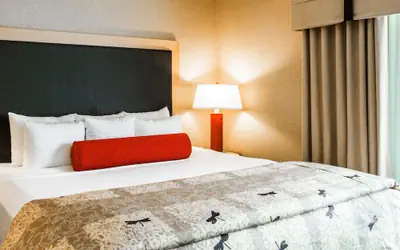 Cambria Hotel Rapid City near Mount Rushmore