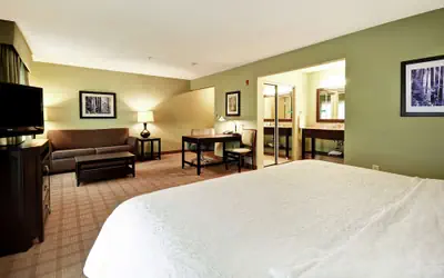 Hampton Inn & Suites Detroit-Canton