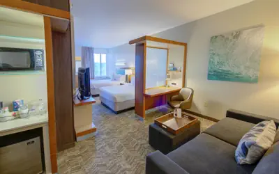 SpringHill Suites by Marriott Macon