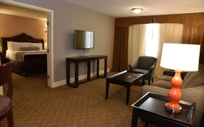 Wyndham Houston near NRG Park - Medical Center