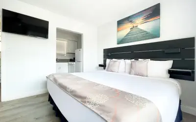 Hollywood Beach Flamingo