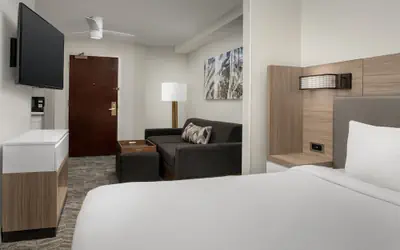 SpringHill Suites by Marriott Atlanta Buford/Mall of Georgia