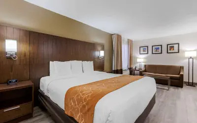 Comfort Suites Tucson near Sabino Canyon