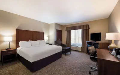 Comfort Inn & Suites Las Vegas - Nellis