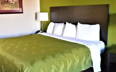 Quality Inn Culpeper