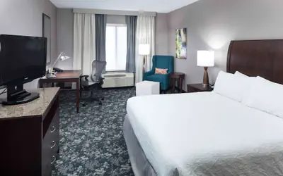 Hilton Garden Inn Detroit/Novi