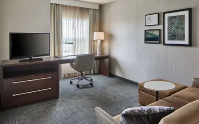 Residence Inn Atlanta NE/Duluth Sugarloaf