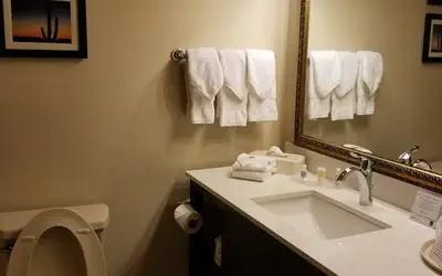 Comfort Suites McAllen