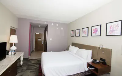 Hilton Garden Inn Tampa Suncoast Parkway