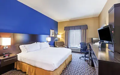 Holiday Inn Express Hotel & Suites Houston-Downtown Convention Center by IHG