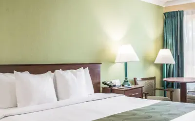 Quality Inn & Suites McDonough South I-75