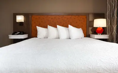 Hampton Inn Kingsport