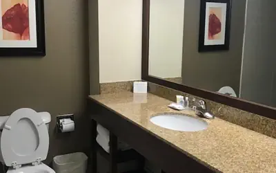 Comfort Suites Northside Hospital Gwinnett