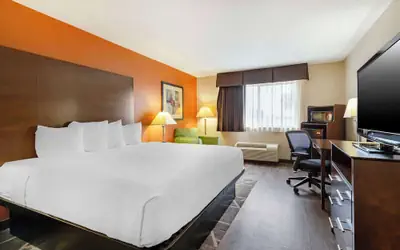 Best Western Inn & Suites New Braunfels