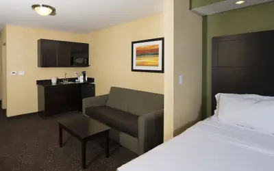 Holiday Inn Express & Suites Detroit North - Troy by IHG