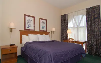 Econo Lodge Hendersonville