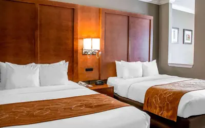 Comfort Suites New Braunfels - San Antonio Area