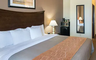 Comfort Inn I-20 Midland Stanton