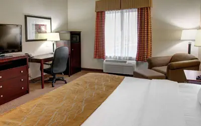 Comfort Inn & Suites Alvarado