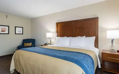 Comfort Inn Edwardsville - St Louis