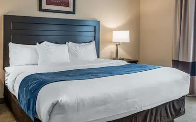 Comfort Suites South Bend Near Casino