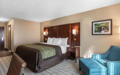 Comfort Inn Bay City - Riverfront