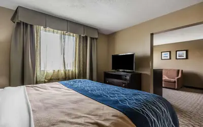 Comfort Inn & Suites Crystal Inn Sportsplex