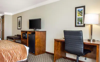 Comfort Inn & Suites Durango