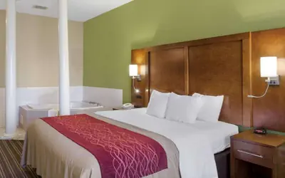 Comfort Inn & Suites Fayetteville-University Area