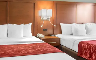 Comfort Inn & Suites San Francisco Airport North