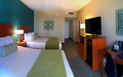 Palm Tree Club Miami