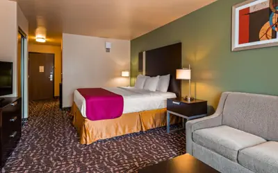 Best Western Plus The Woodlands