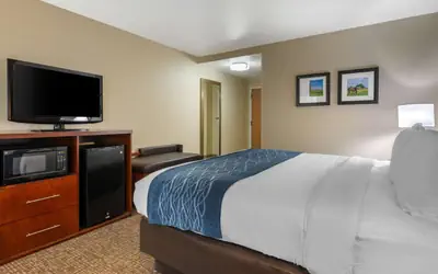 Comfort Inn Ocala Silver Springs